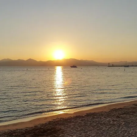 A Quelques Pas De La Mer, De La Croisette Et Du Palais Des Festivals * Cannes
