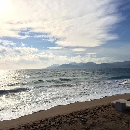 A Quelques Pas De La Mer, De La Croisette Et Du Palais Des Festivals